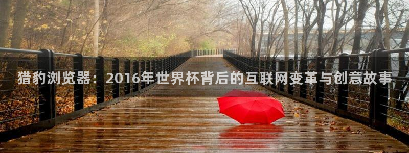 2026世亚预赛赛程表：猎豹浏览器：2016年世界杯背后的互联网变革与创意故事