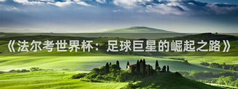 世界杯欧洲区预选赛：《法尔考世界杯：足球巨星的崛起之路》