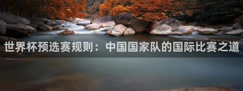世界杯葡萄牙赛程：世界杯预选赛规则：中国国家队的国际比赛之道