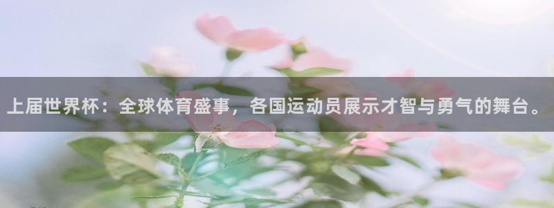世界杯2026预选赛：上届世界杯：全球体育盛事，各国运动员展示才智与勇气的舞台。