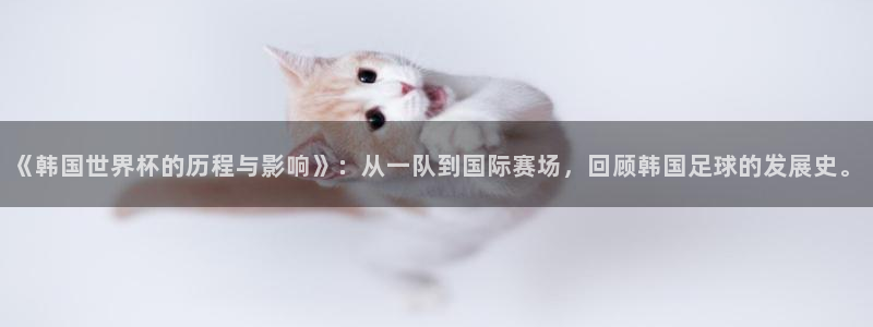 足球世界杯赛程：《韩国世界杯的历程与影响》：从一队到国际赛场，回顾韩国足球的发展史。