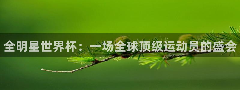 世界杯预选赛赛程表：全明星世界杯：一场全球顶级运动员的盛会