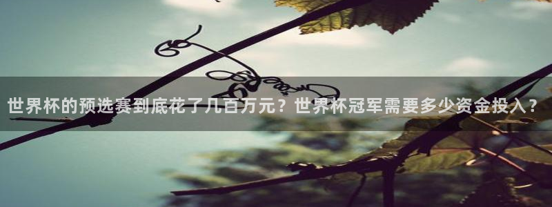 2006年世界杯冠军：世界杯的预选赛到底花了几百万元？世界杯冠军需要多少资金投入？