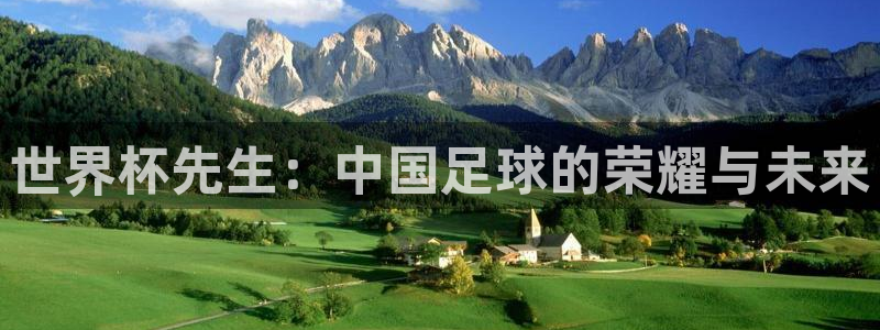 预选赛世界杯：世界杯先生：中国足球的荣耀与未来
