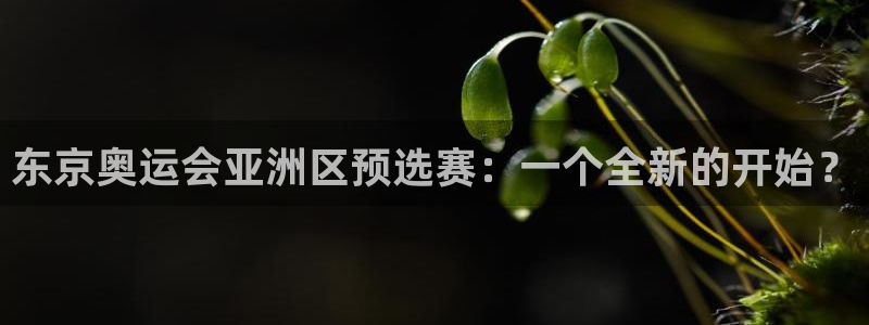 世界杯预选赛欧洲赛区赛程：东京奥运会亚洲区预选赛：一个全新的开始？