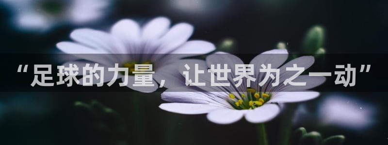 世界杯足球赛2026：“足球的力量，让世界为之一动”
